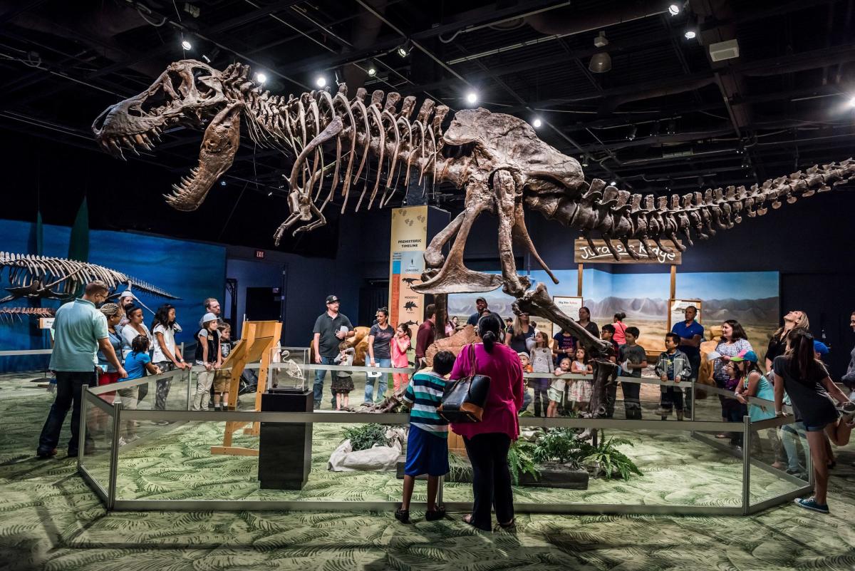 Things To Do Orlando Science Center